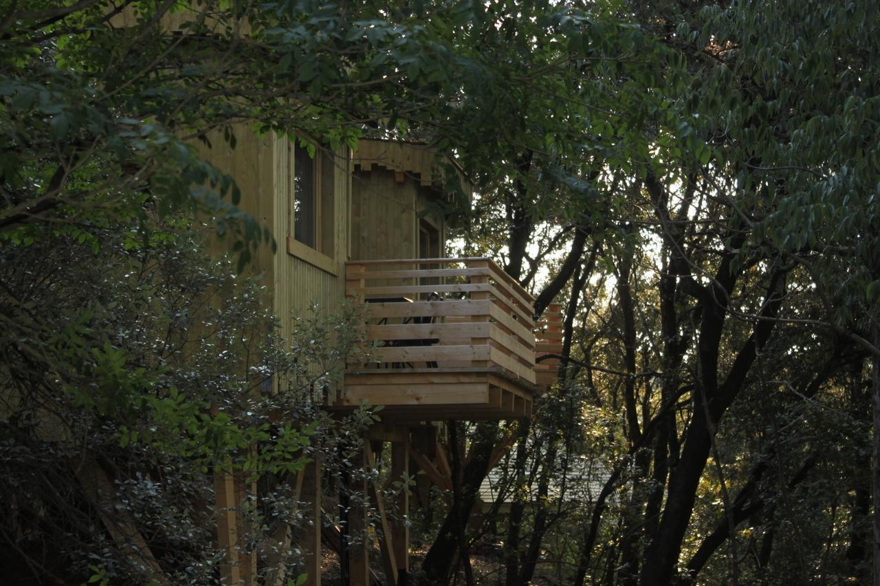 Les Cabanes Dans Les Bois Logis Hotel Villedubert Kamer foto