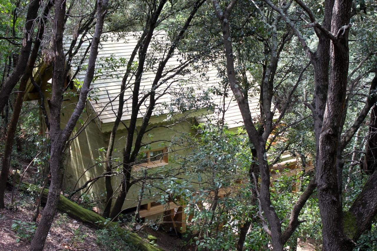 Les Cabanes Dans Les Bois Logis Hotel Villedubert Buitenkant foto