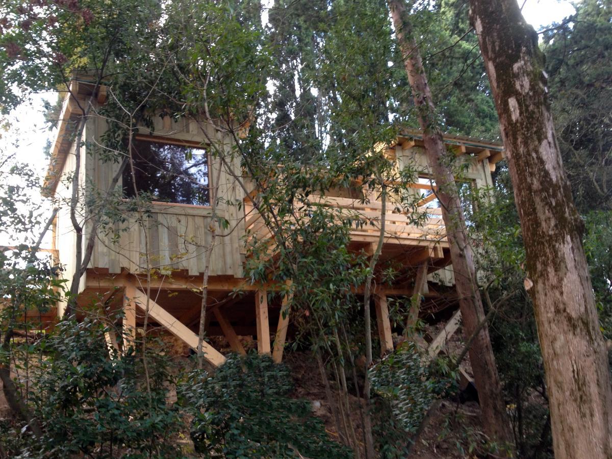 Les Cabanes Dans Les Bois Logis Hotel Villedubert Kamer foto