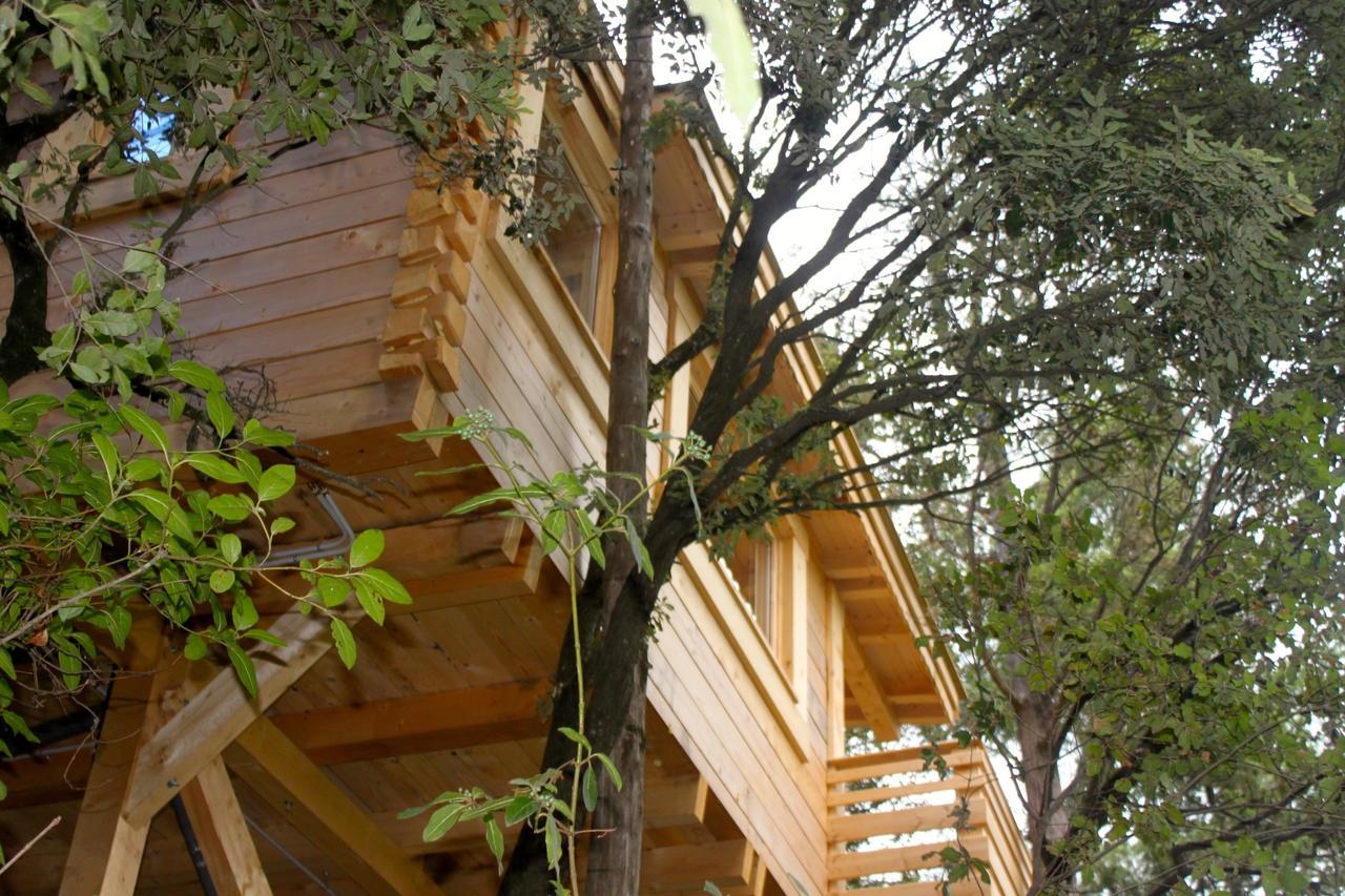 Les Cabanes Dans Les Bois Logis Hotel Villedubert Buitenkant foto