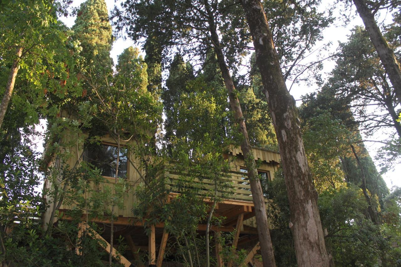 Les Cabanes Dans Les Bois Logis Hotel Villedubert Kamer foto