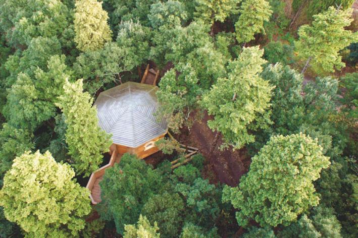 Les Cabanes Dans Les Bois Logis Hotel Villedubert Buitenkant foto