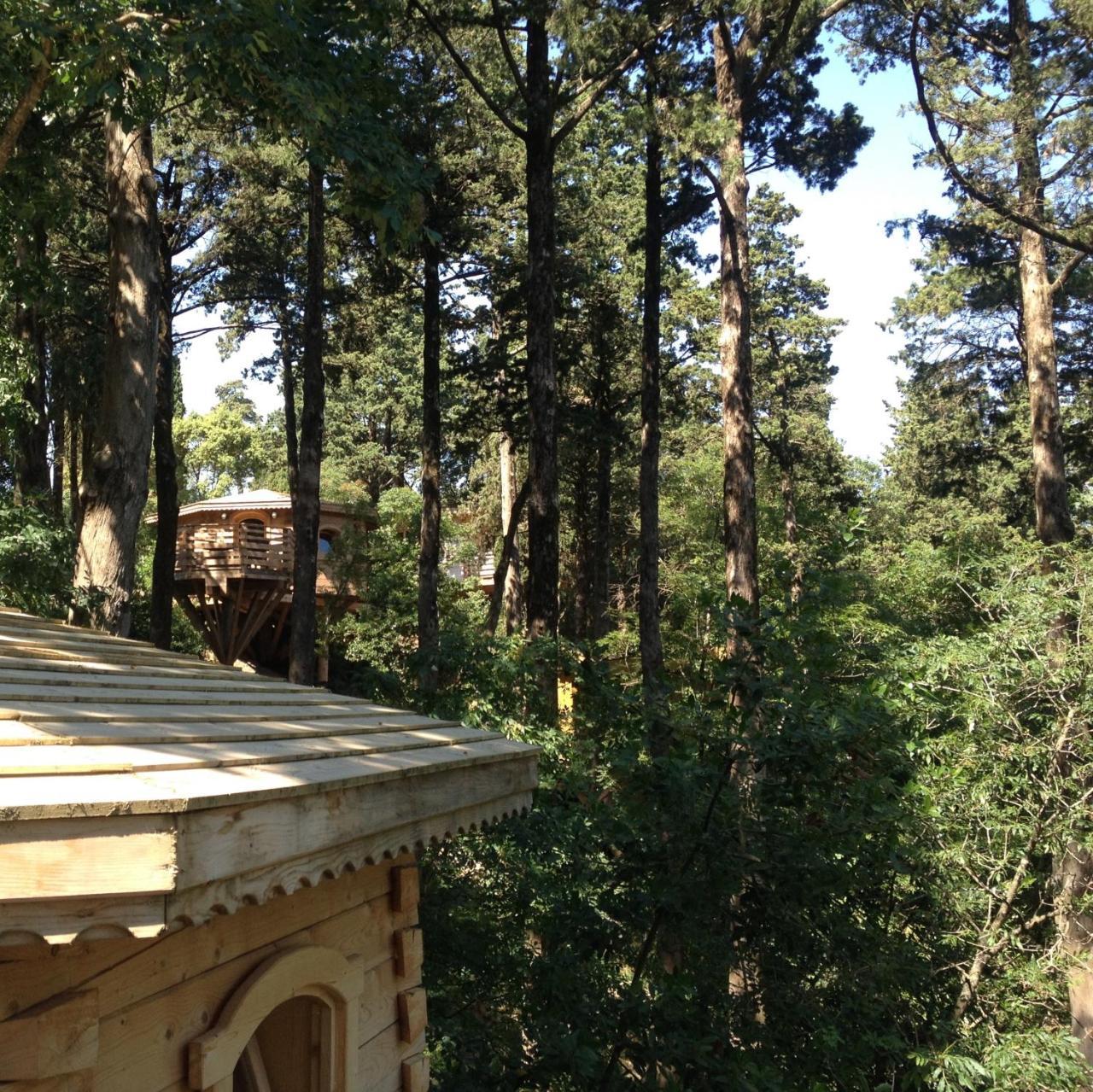 Les Cabanes Dans Les Bois Logis Hotel Villedubert Buitenkant foto